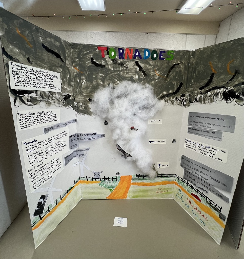 Science Fair Project