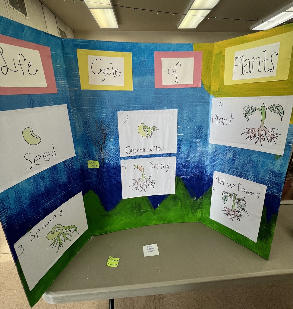 Science Fair Project