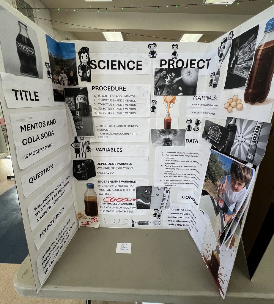 Science Fair Project