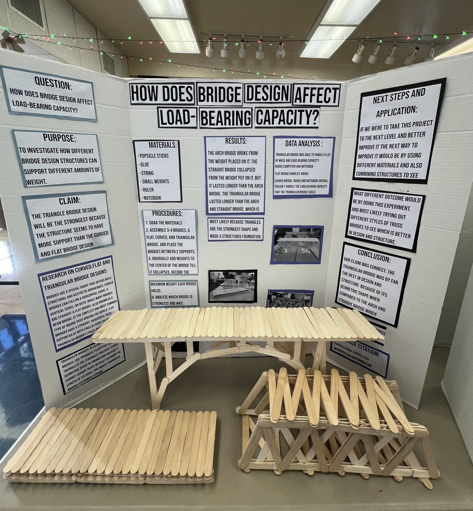 Science Fair Project