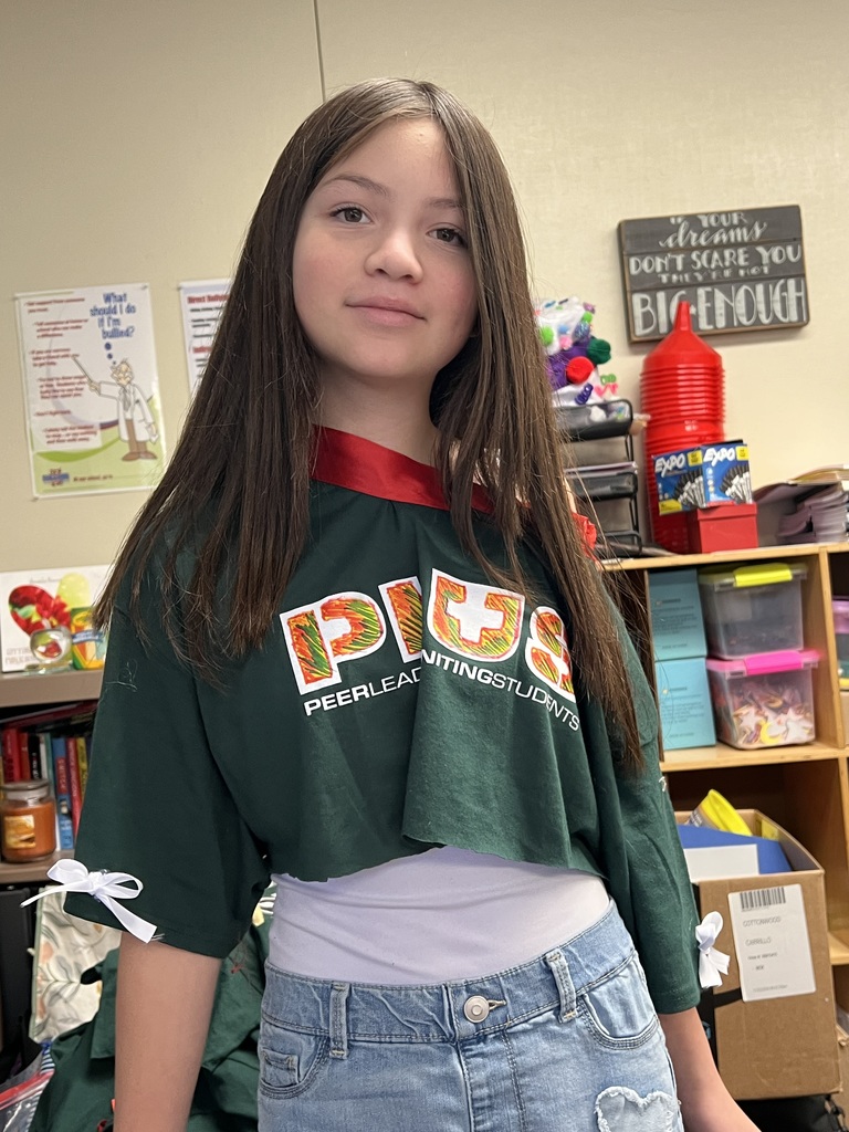 Holiday Shirt Decorating