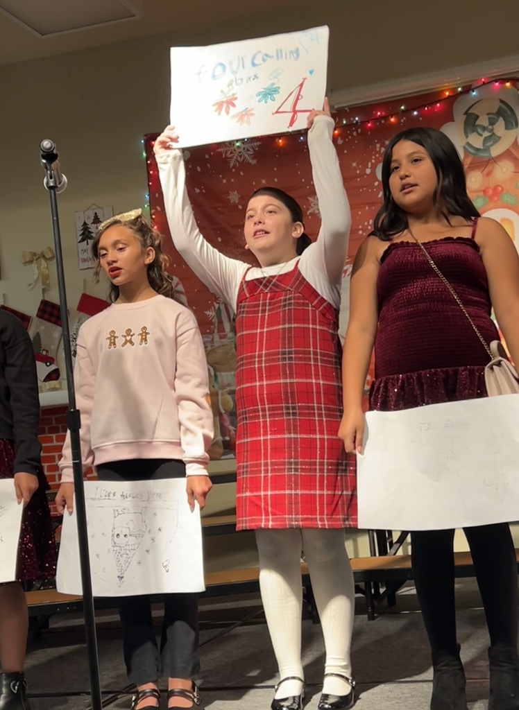 4th Day of Christmas