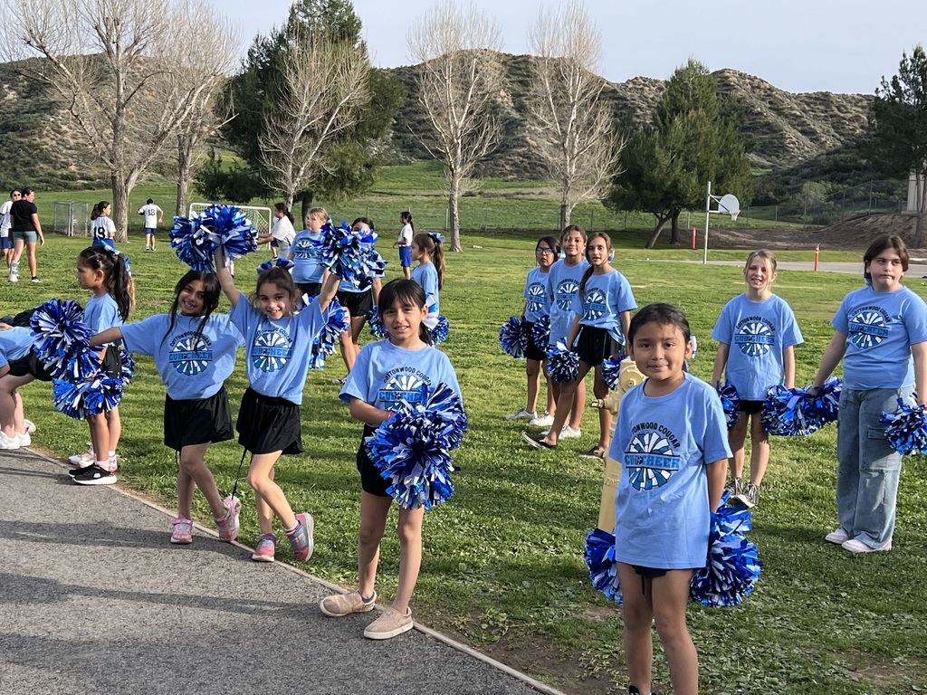 Cub Cheerleaders