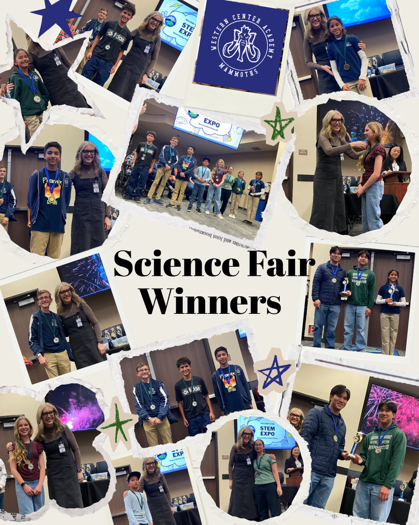 science fair