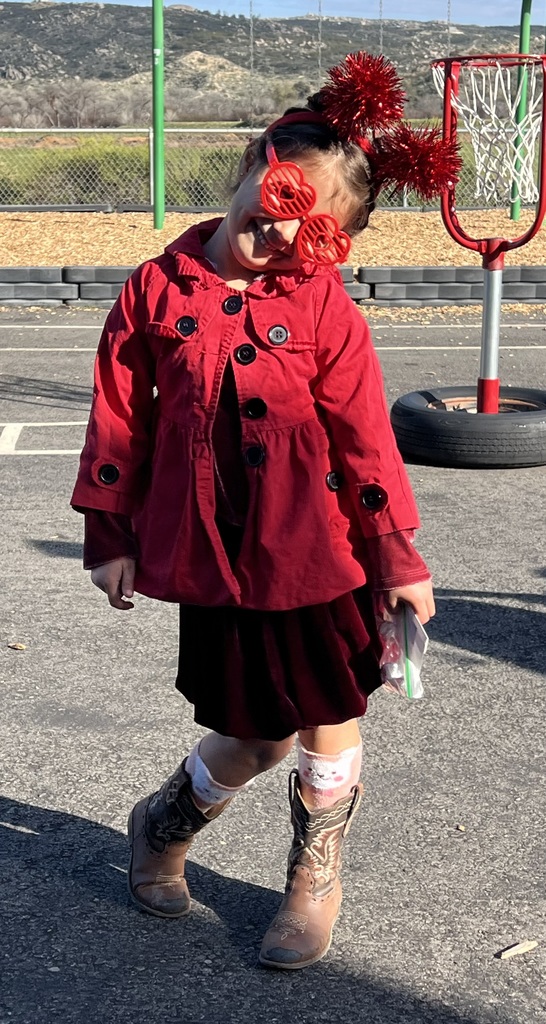 Valentine Spirit Day