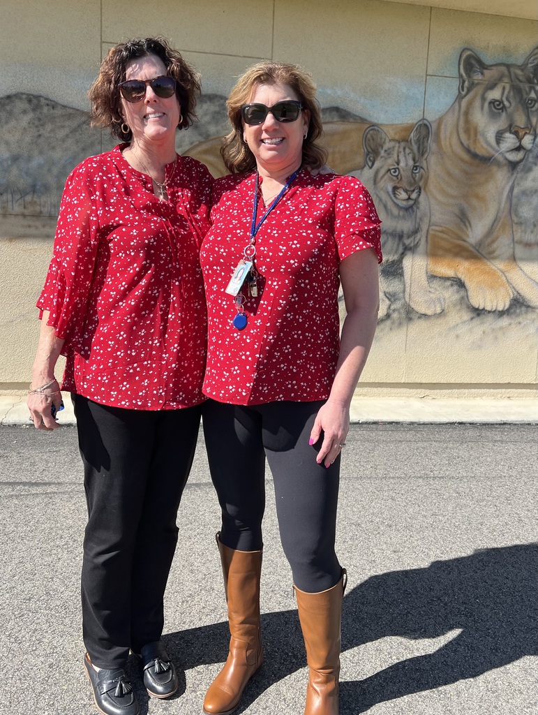 Valentine Spirit Day