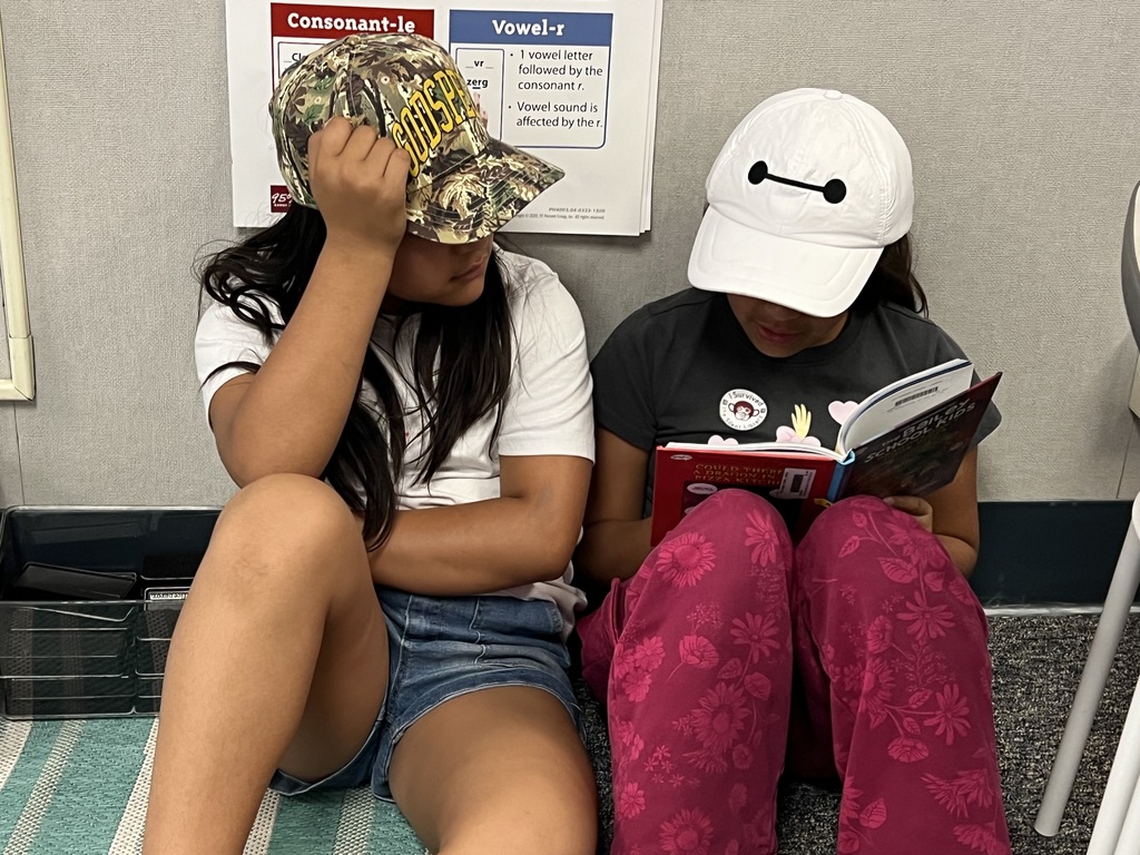Buddy Reading