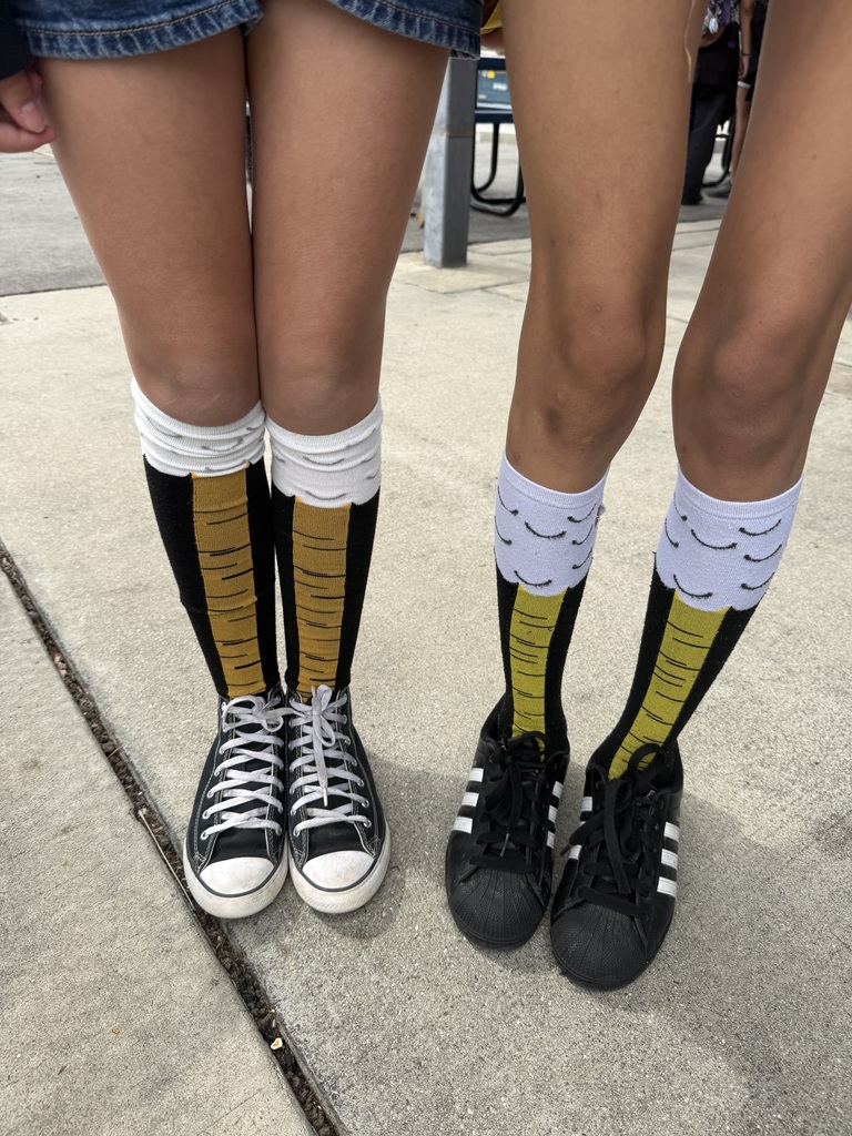 Silly Sock Day