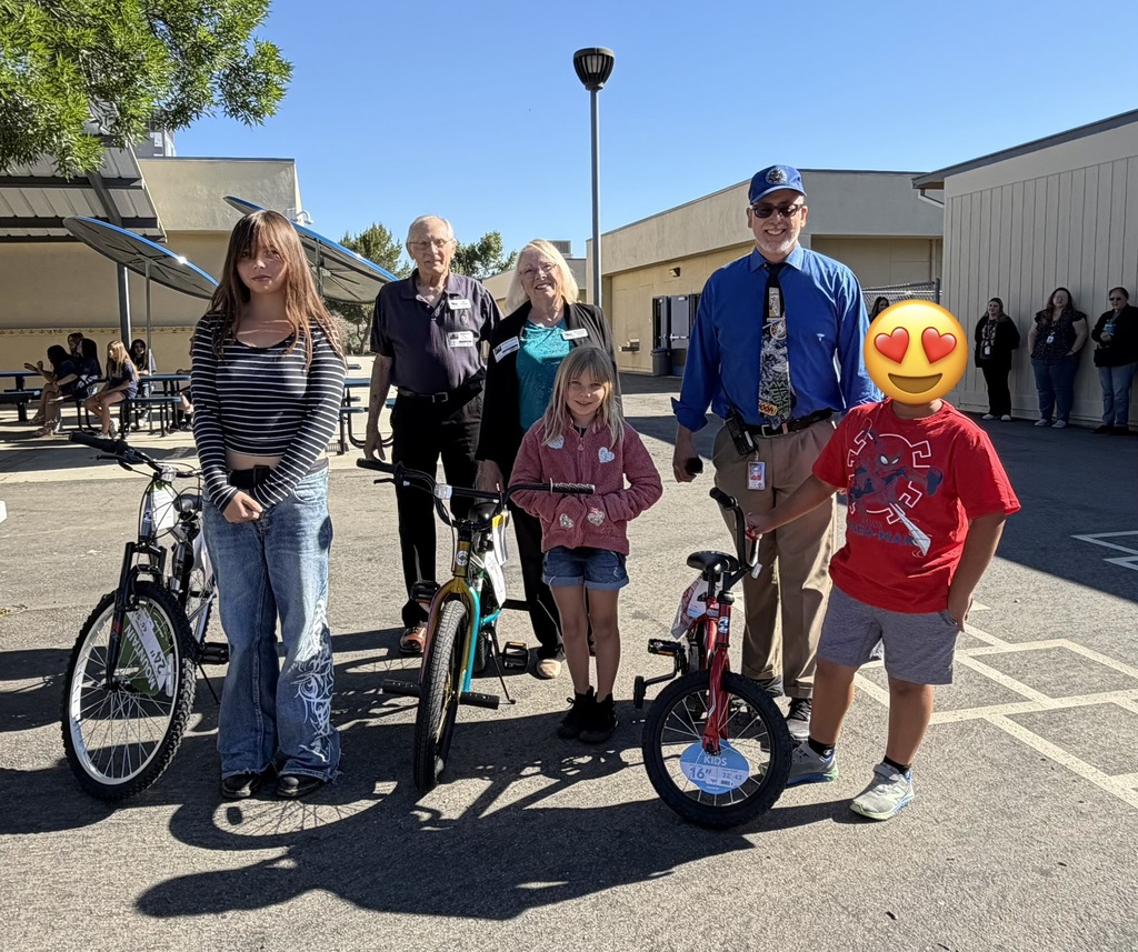 Bike Winners