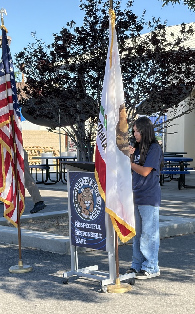 Flag Salute