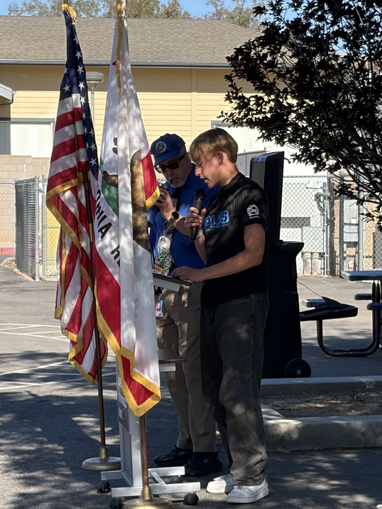 Flag Salute