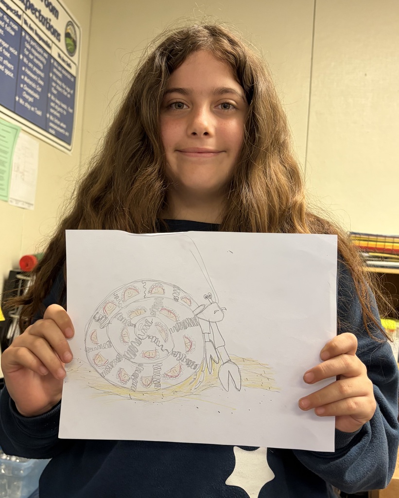 Hermit Crab