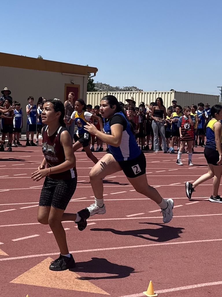 Run like the wind