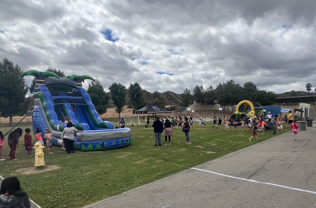 Field Day