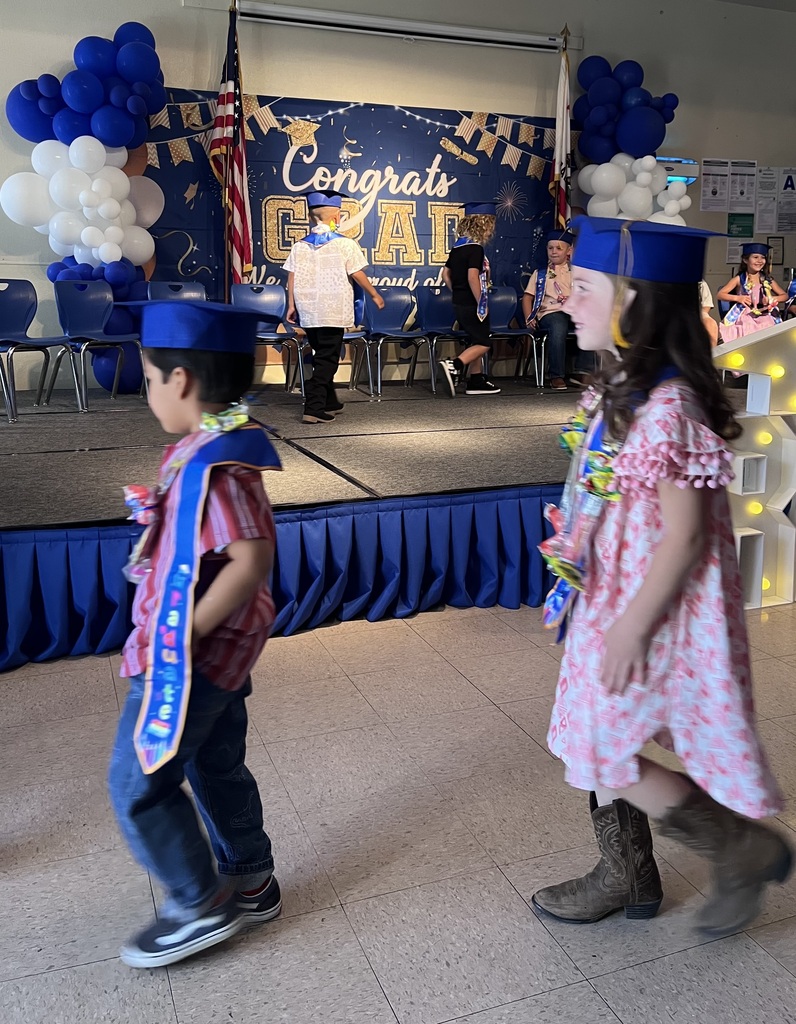 Kinder Cuties