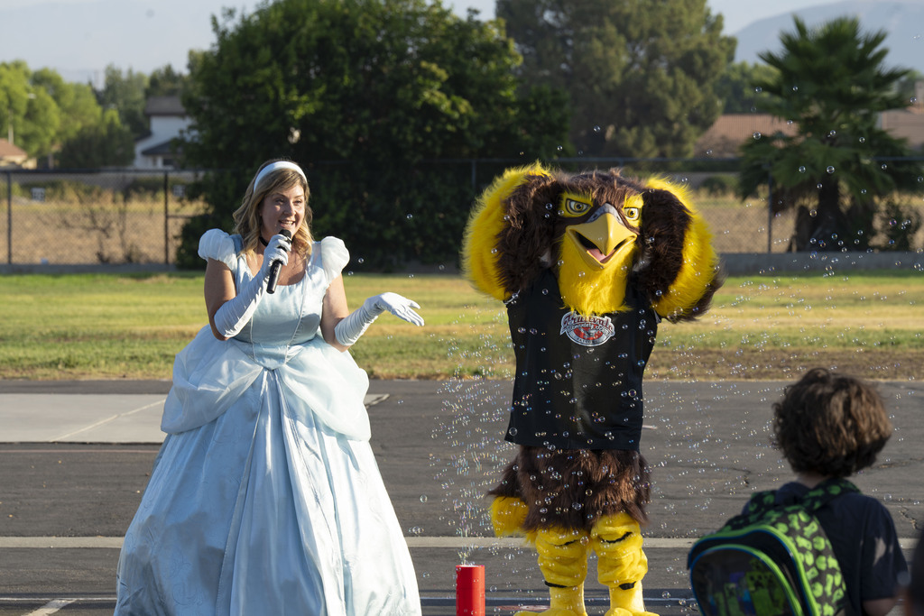 Fallon the Falcon at Friday Flag!