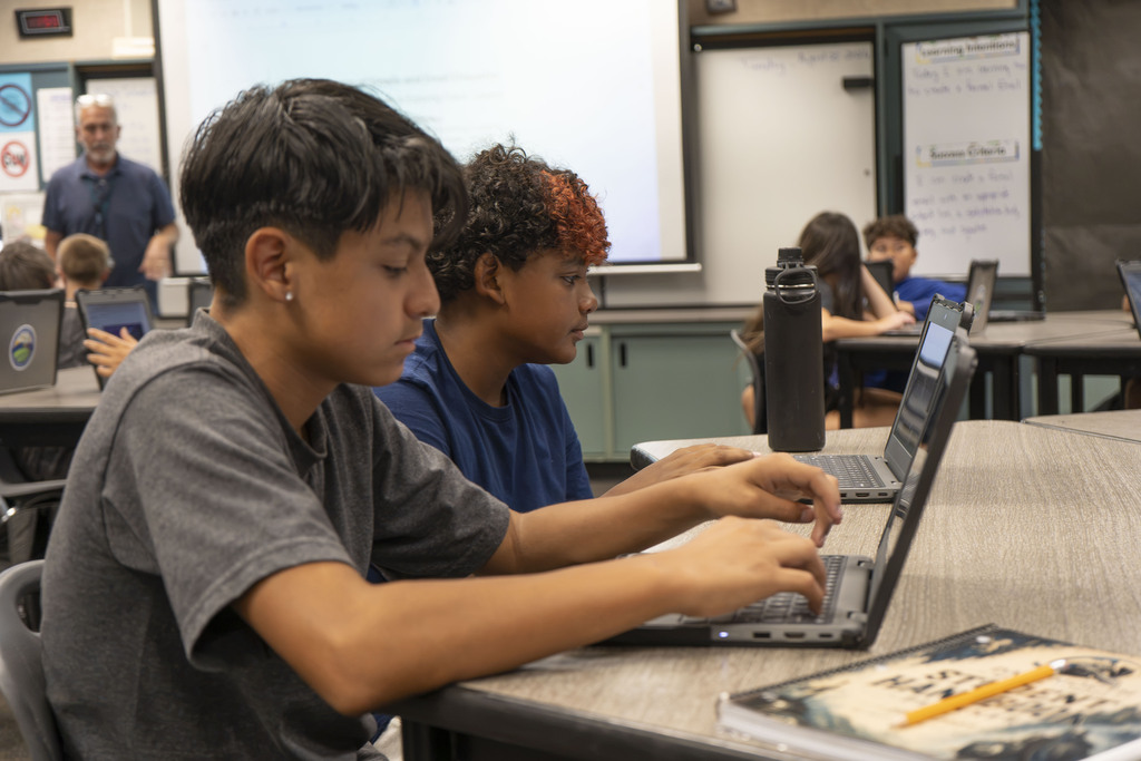 students working on laptops