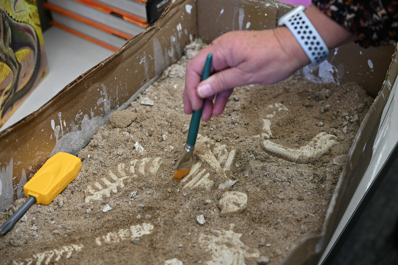 A little paleontology