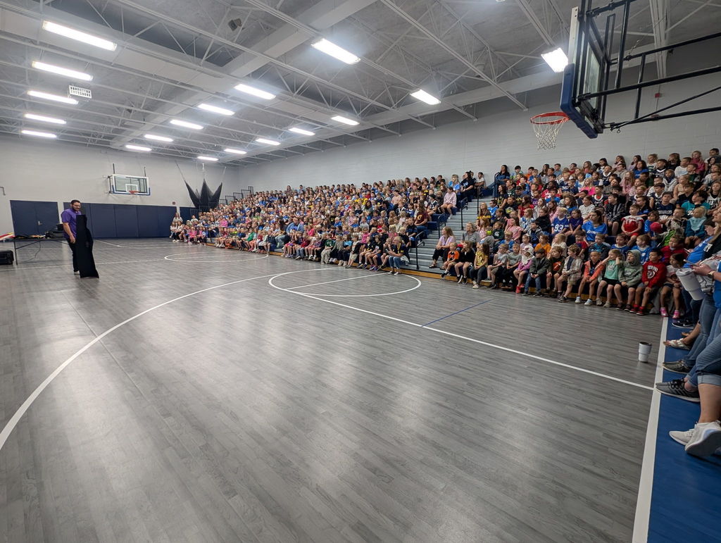NED Assembly
