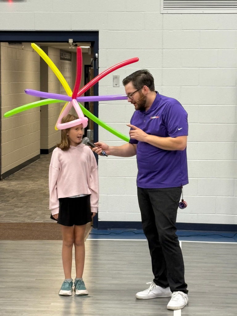 NED Assembly