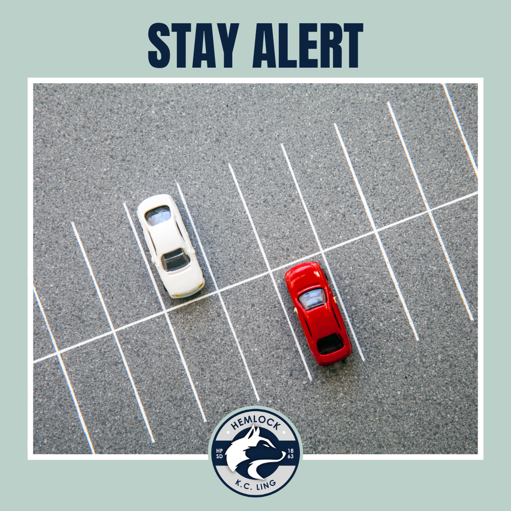 Stay Alert