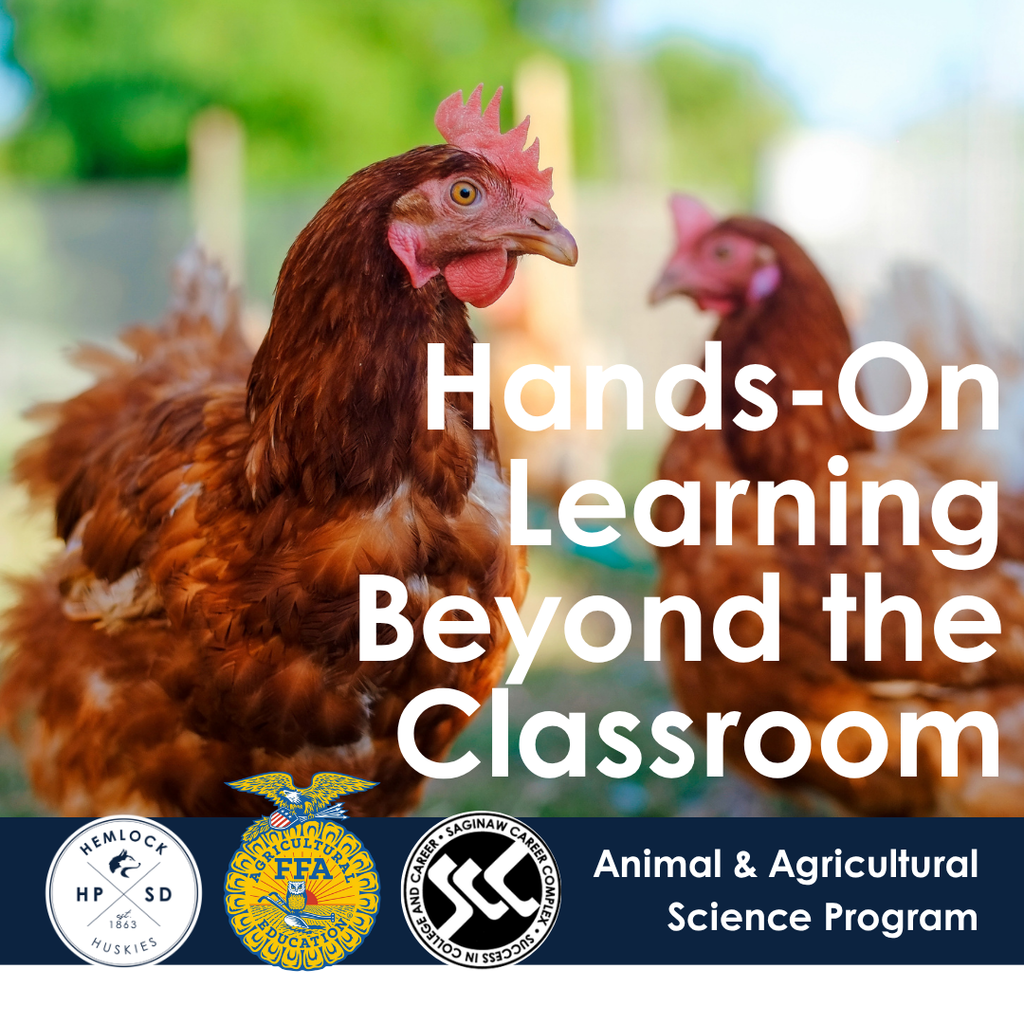 Hands-on learning beyond the classroom, animal and agricultural science program