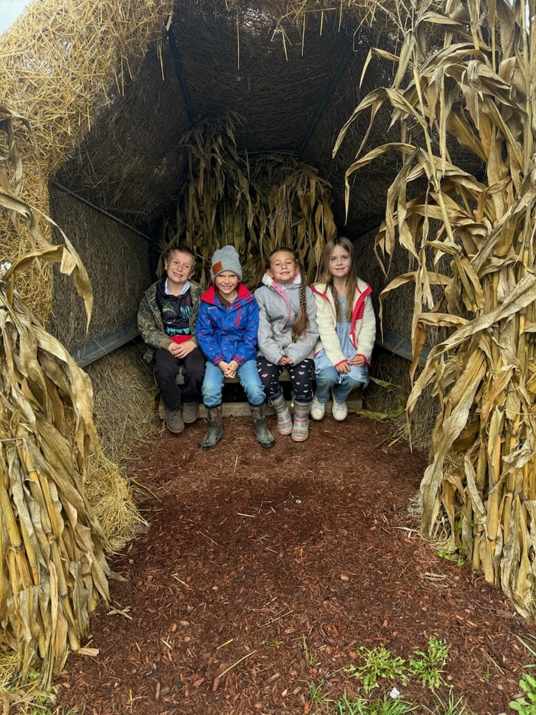 Grandma's Pumpkin Patch