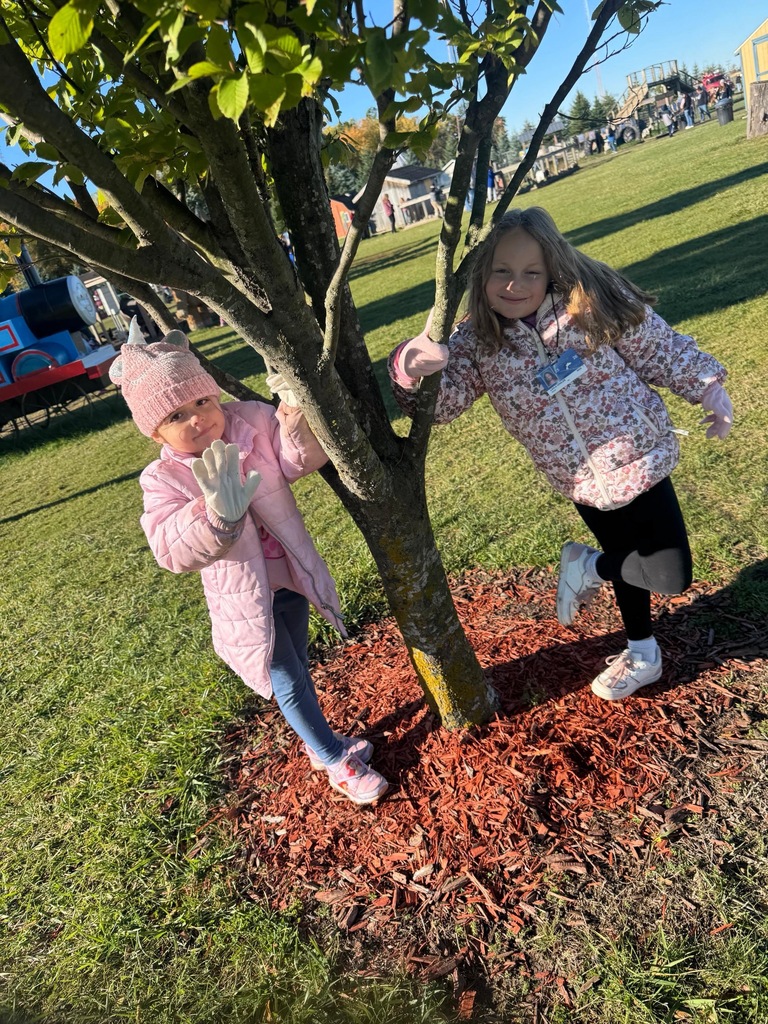 Johnson's Pumpkin Farm