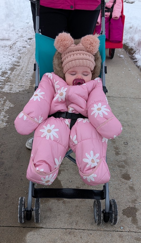 Little kids on a stroller ride