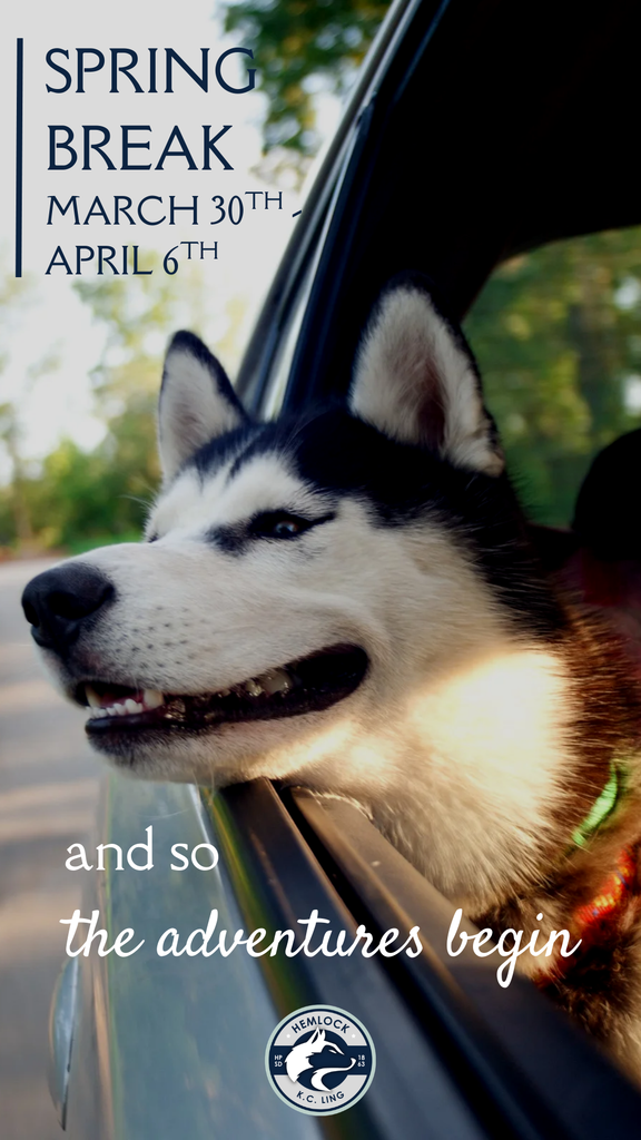 Spring Break