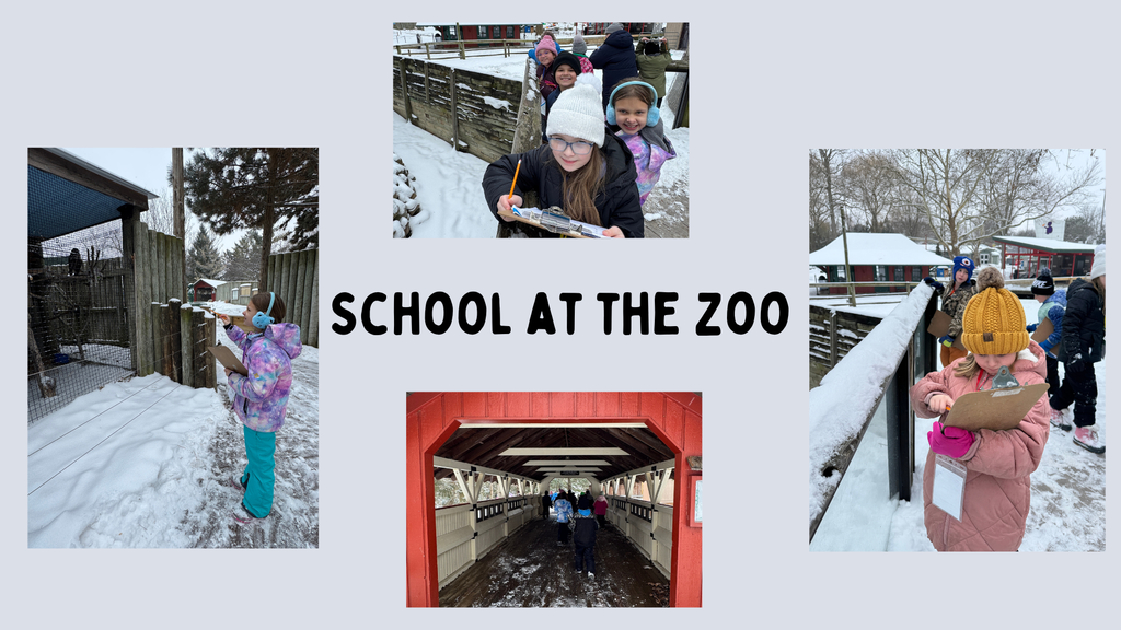 School at the Zoo
