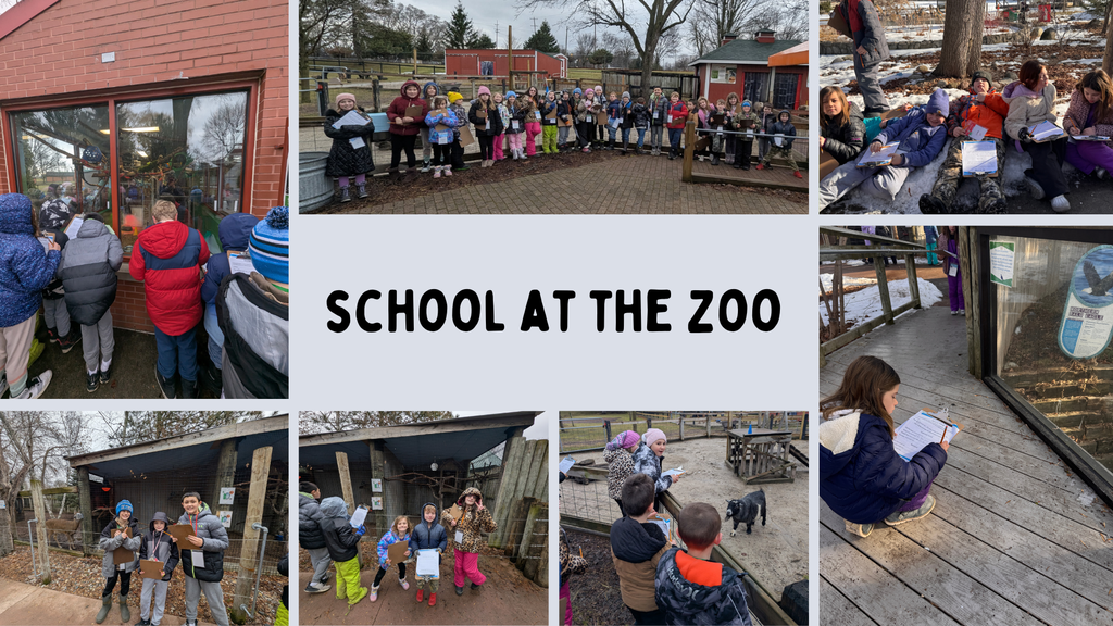 School at the Zoo