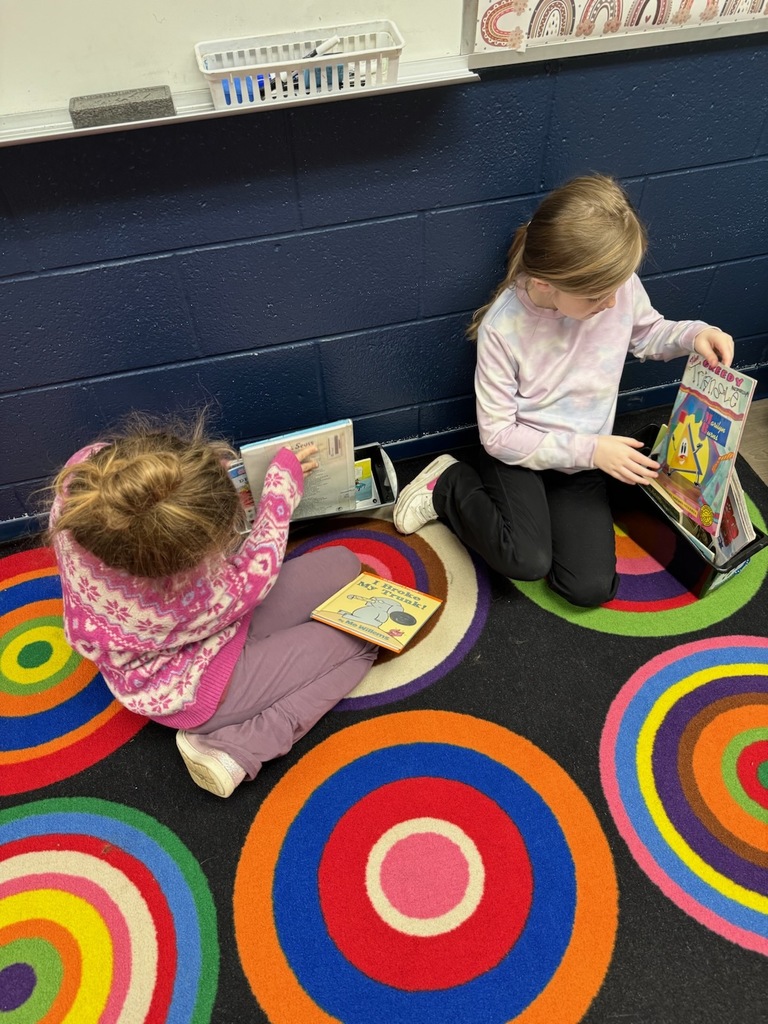 Buddy Reading