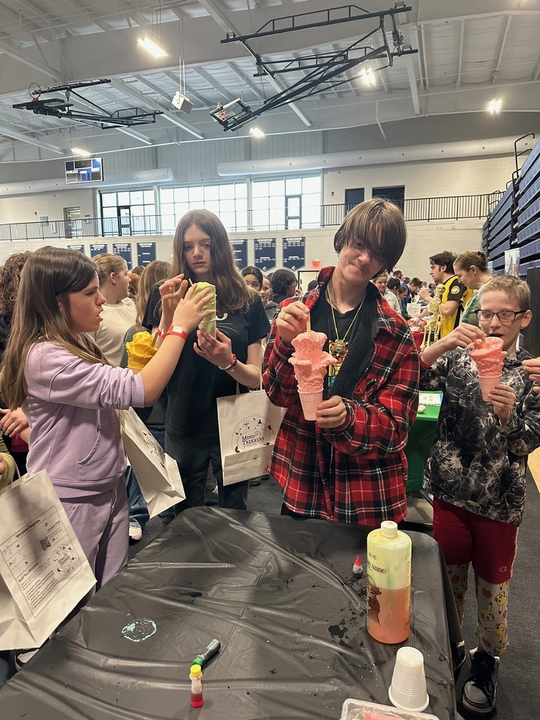 STEM Fest