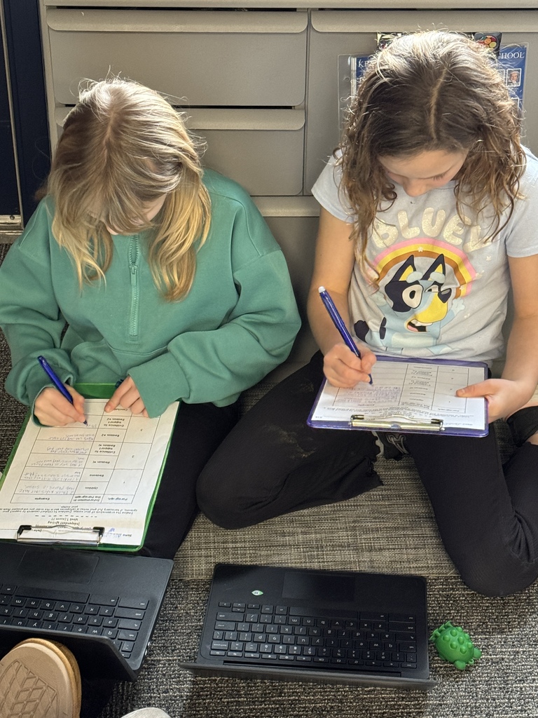 Mrs. Green - Opinion Paper Research