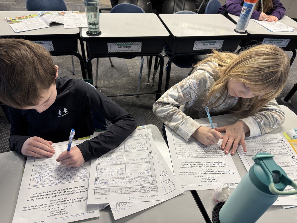 Reflection Papers