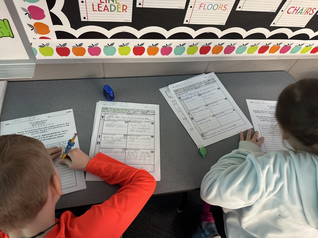 Reflection Papers