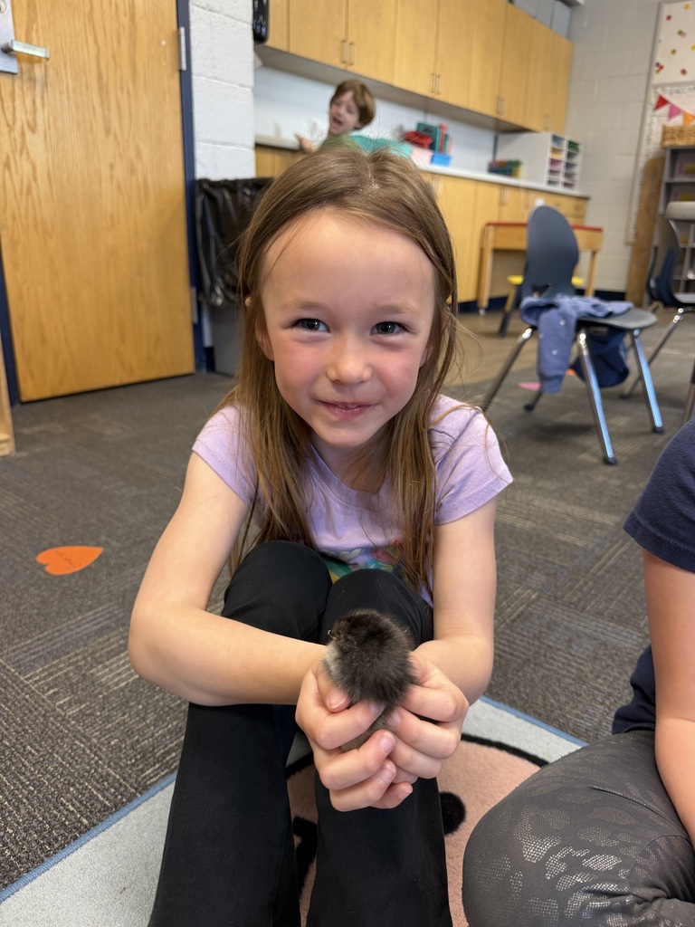 chicks