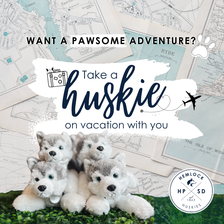 huskies