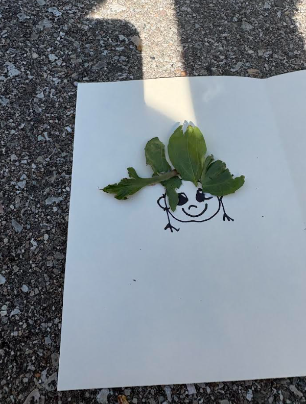 Nature (Salon) Day in 1st Grade