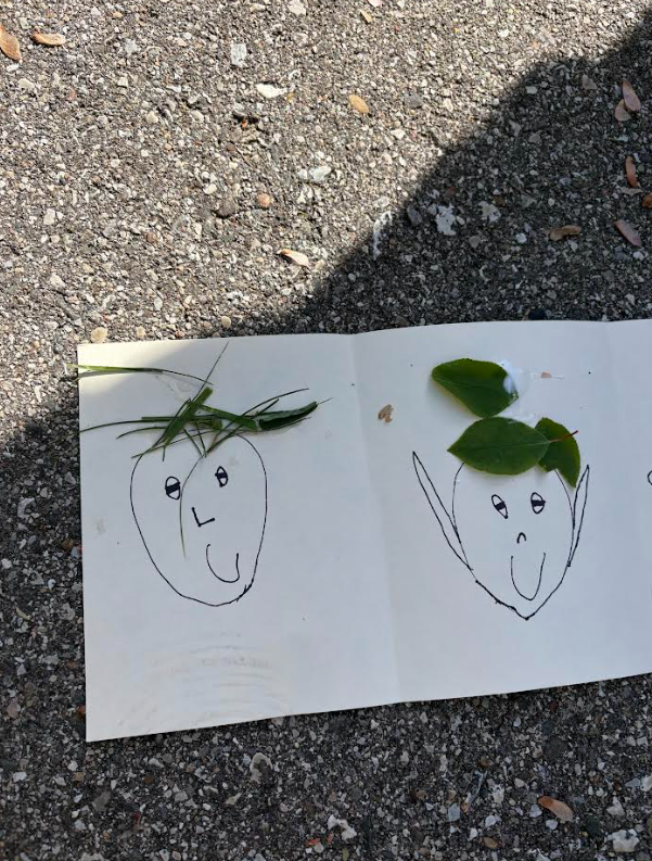Nature (Salon) Day in 1st Grade