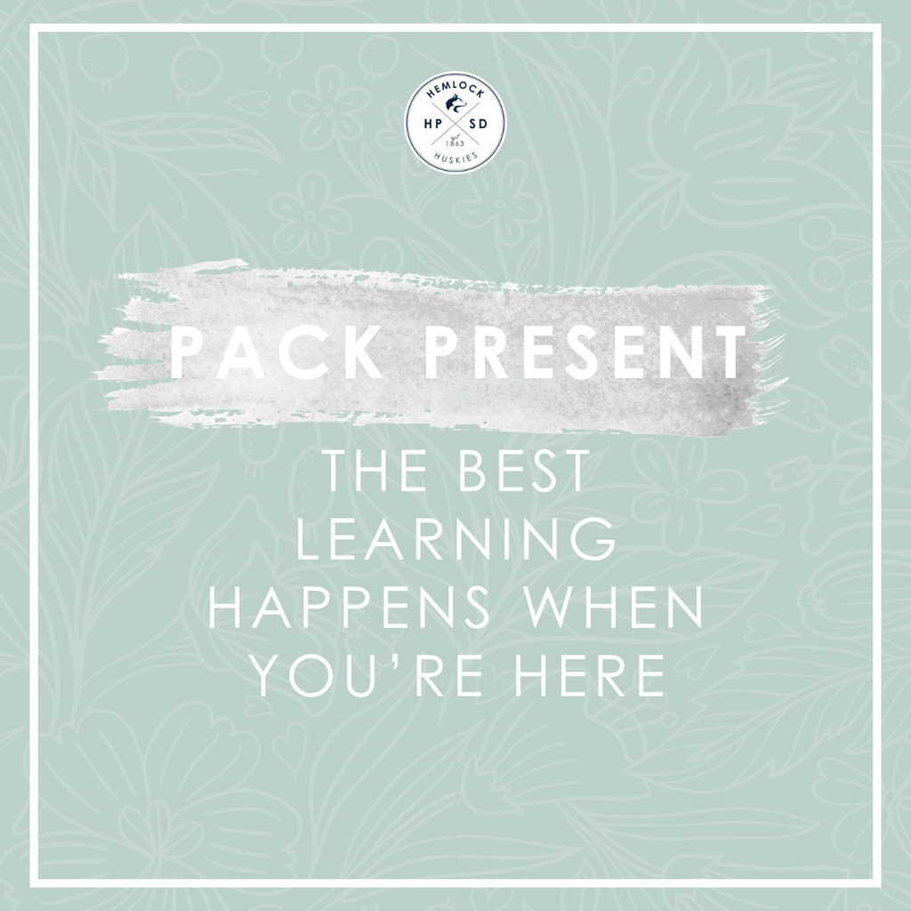 Pack Present