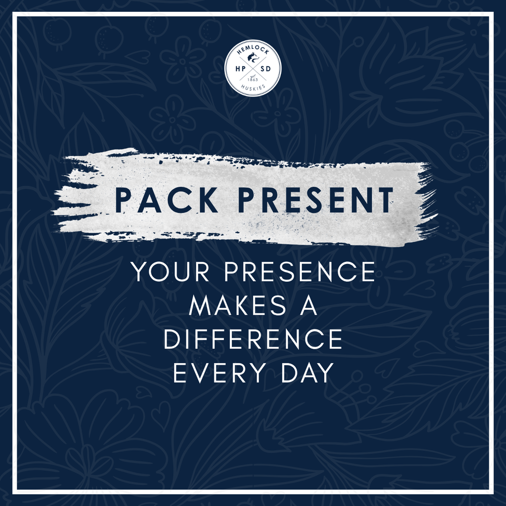 Pack Present