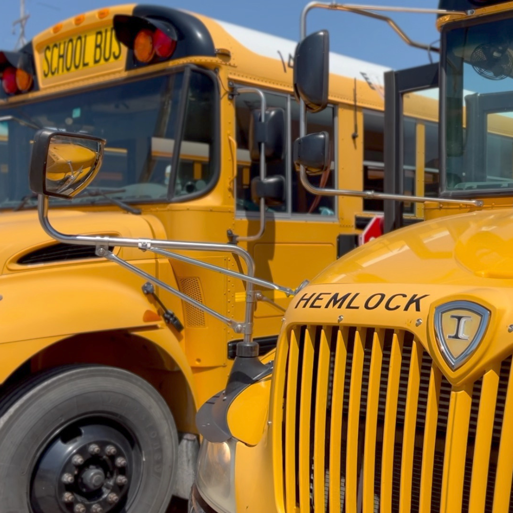 Bus Drivers