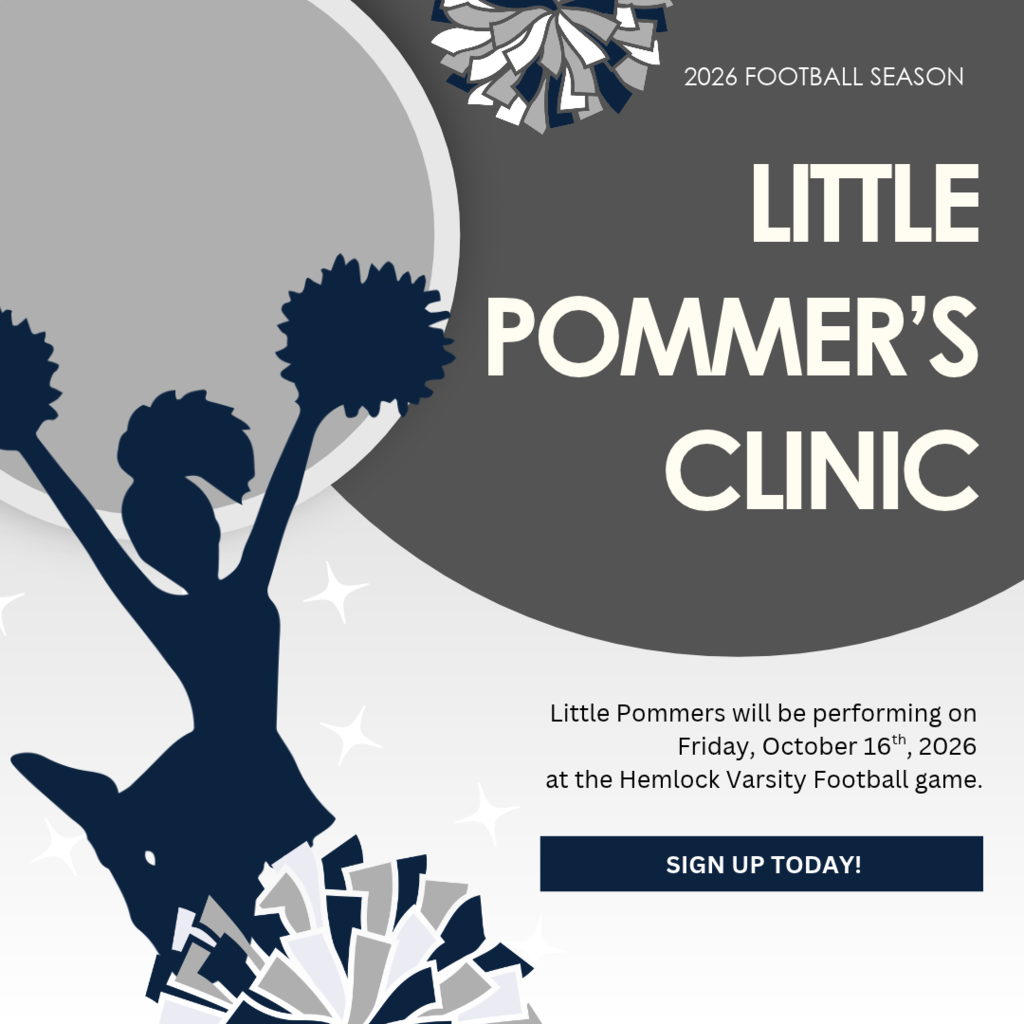 Little Pommer's Clinic
