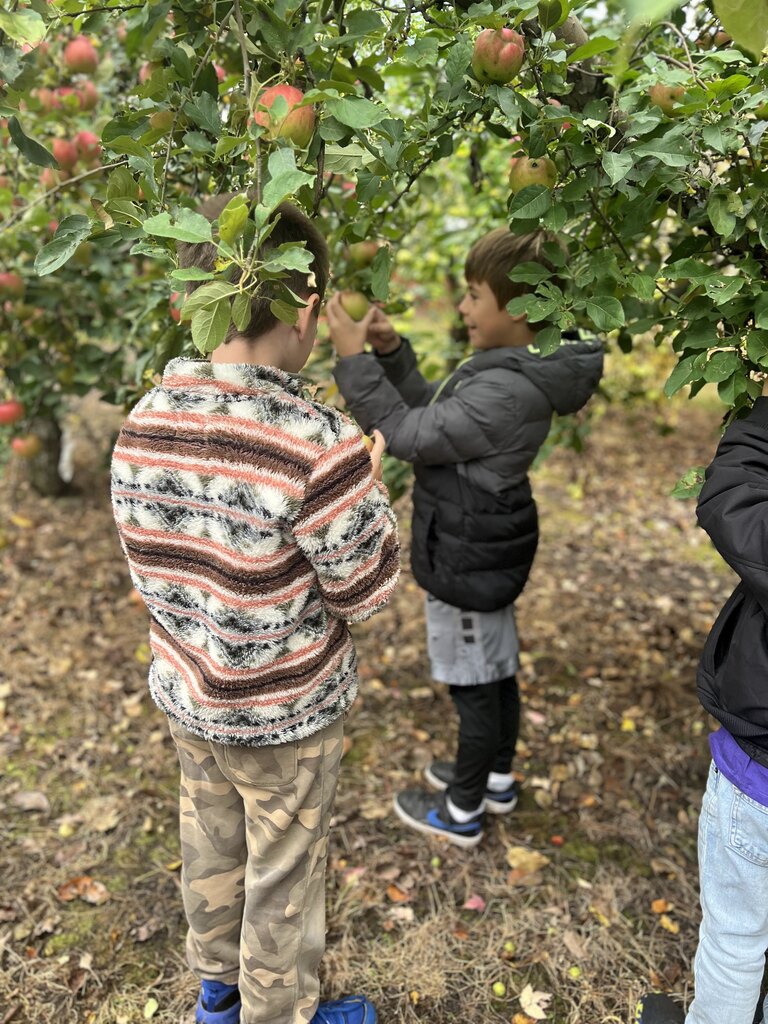 2nd Grade Field Trip