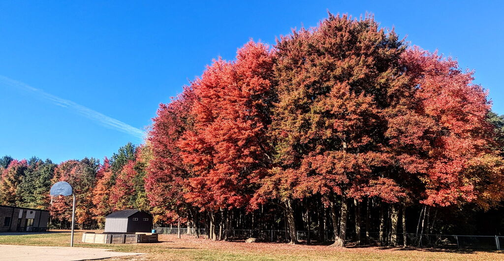 Fall is Here