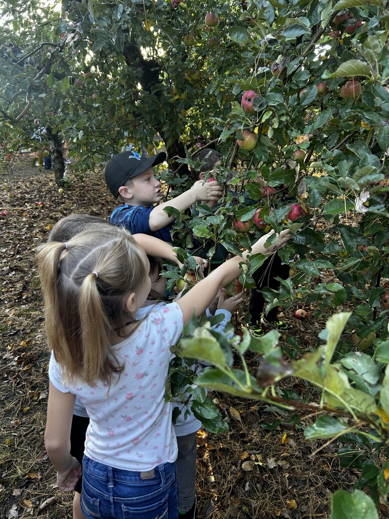 apple farm