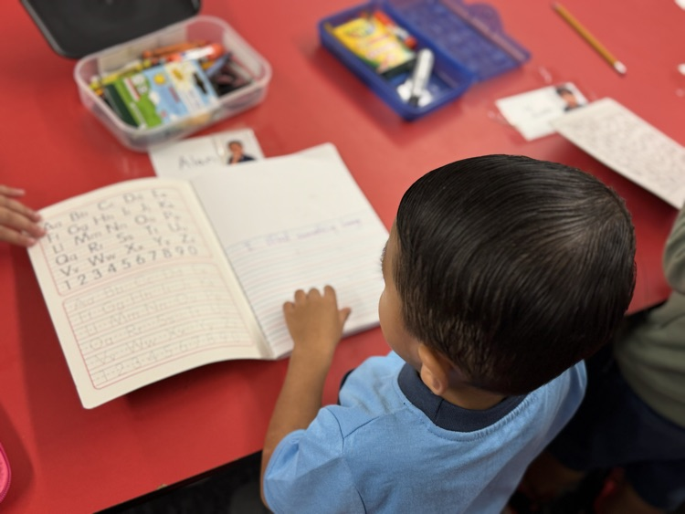 students writing in journal 