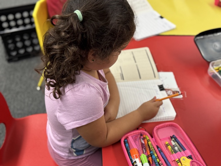 students writing in journal 